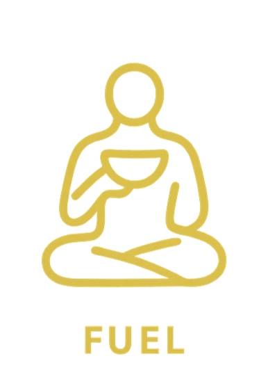 Nourish your body with balanced, supportive nutrition.